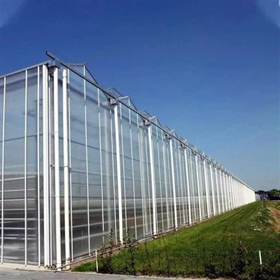 Glass Hydroponics Greenhouse