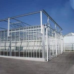 Invernadero agrícola
