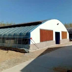 Granja de invernadero