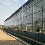 Invernadero agrícola Venlo