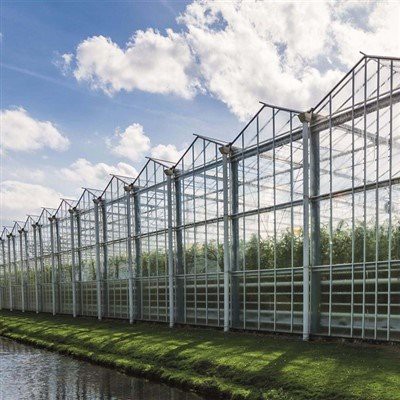 Invernadero de cristal Venlo