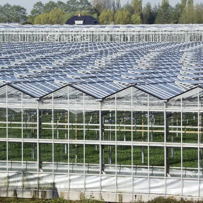 Glass Hydroponics Greenhouse