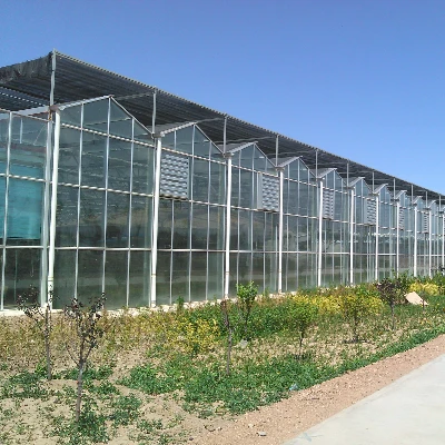 Large Glass Greenhouse2